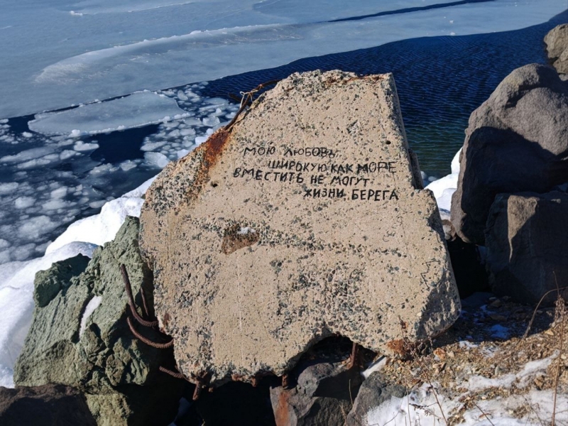 Дом в аренду