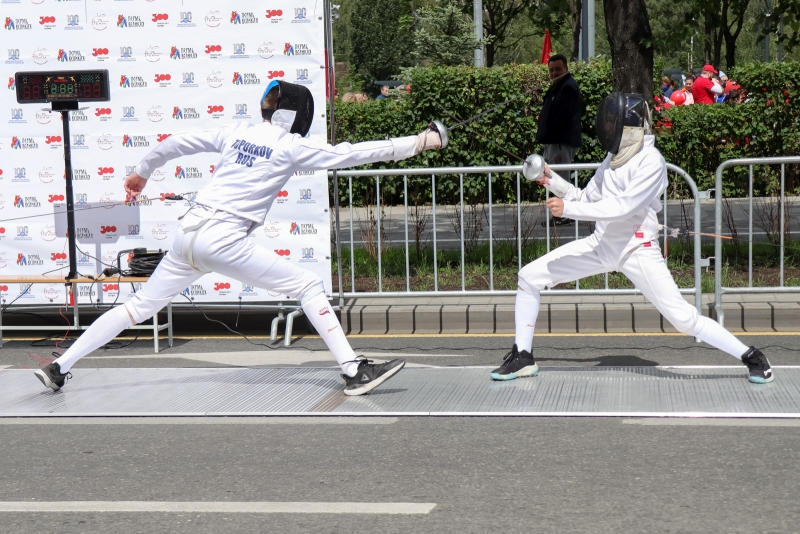 Фехтовальщики