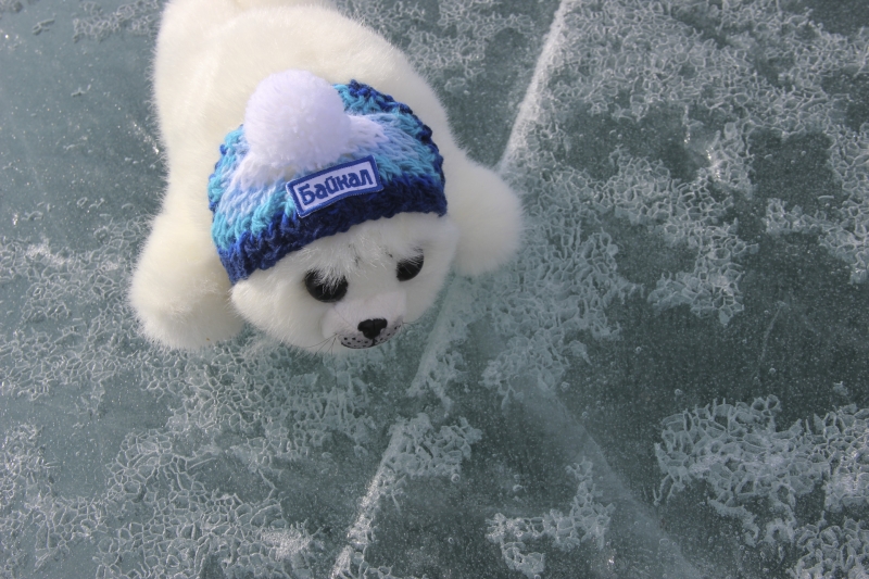 В Сибирь стоит ехать за снегом и красивыми закатами