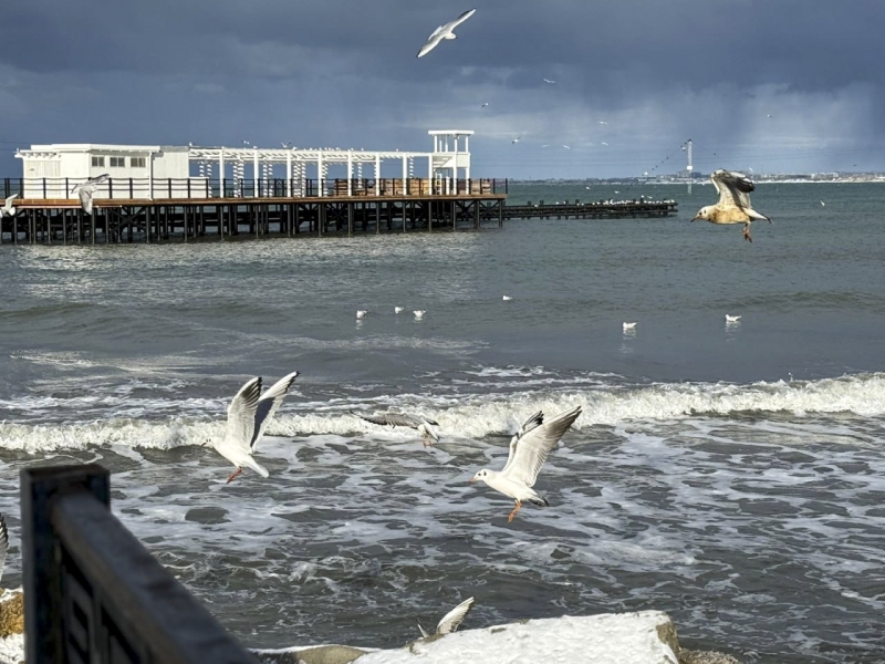 Землетрясение произошло в Азовском море