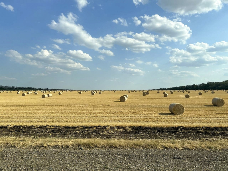Что произойдет на Кубани со 2 по 8 февраля