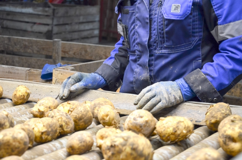 Сельское хозяйство работник