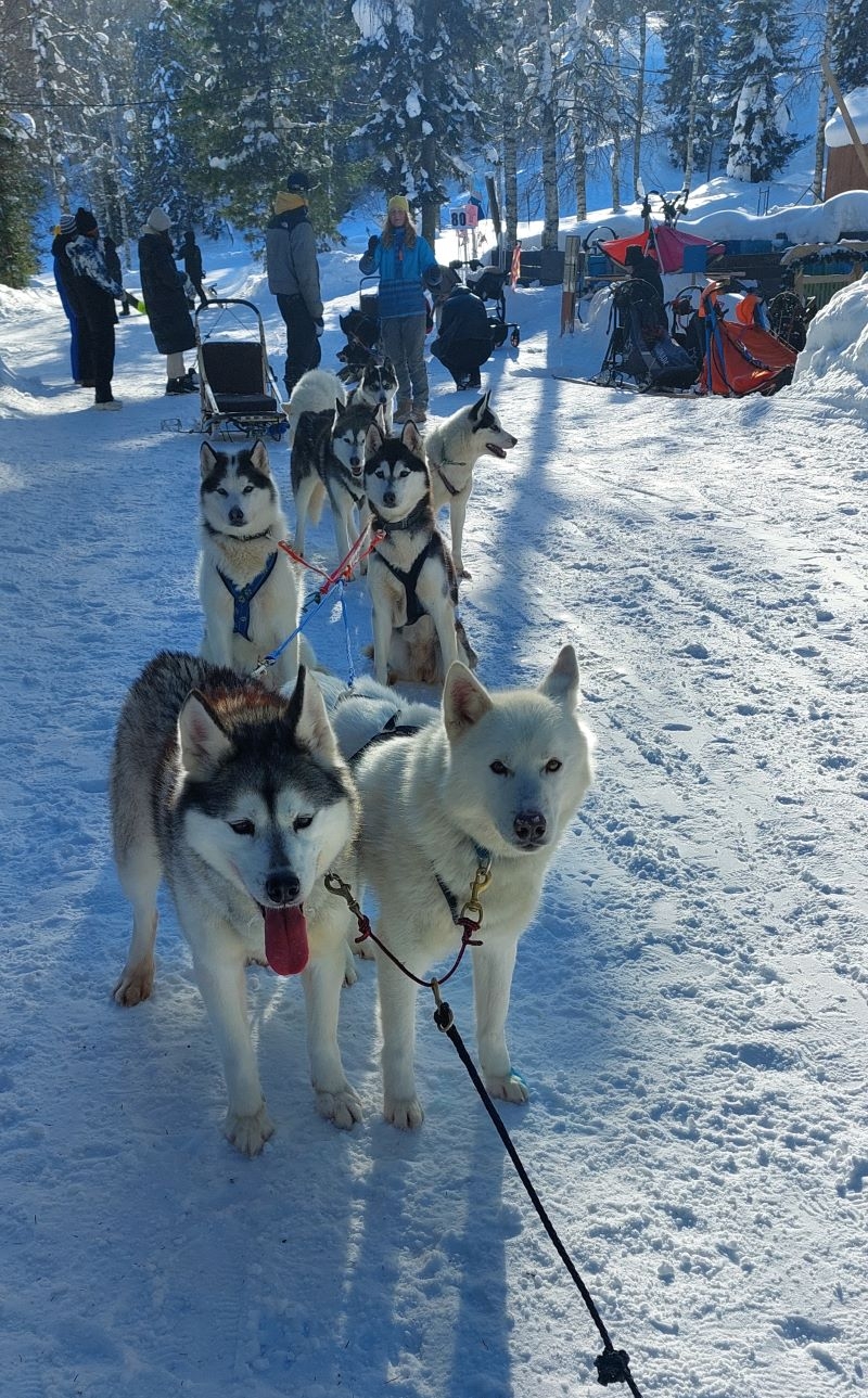 Отель построен в стиле альпийского шале