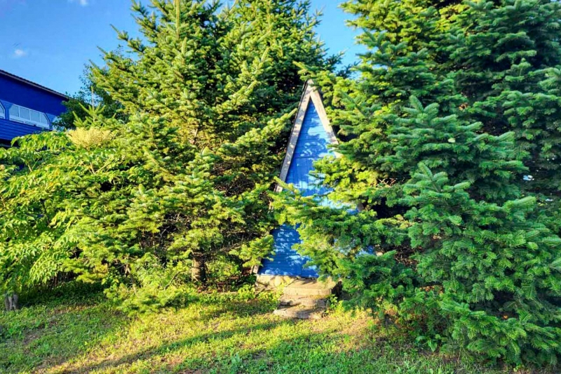 База отдыха