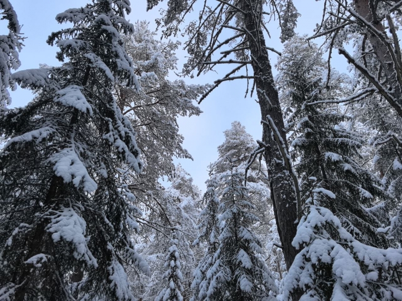На Средний Урал пришел арктический воздух