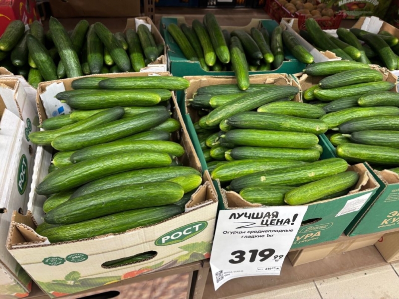 Россияне шокированы ценами на огурцы