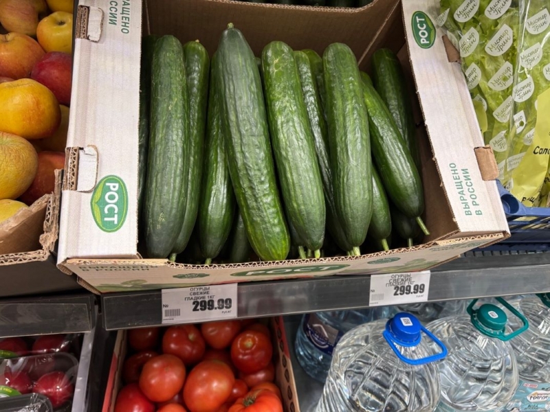 Россияне шокированы ценами на огурцы