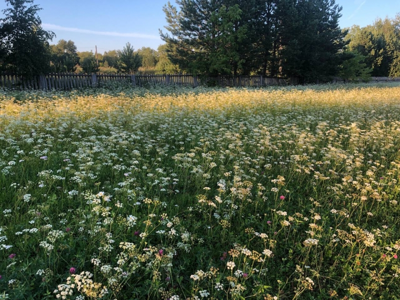 Земельный участок