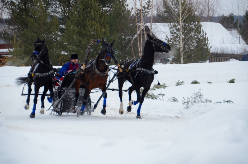 В современном мире довольно сложно удивить свою вторую половину