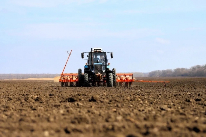 На Кубани стартовал сев сахарной свеклы