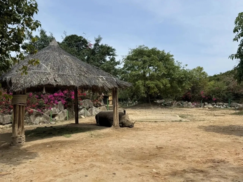 Отдых в Нячанге понравился приморцам сильнее, чем в Таиланде