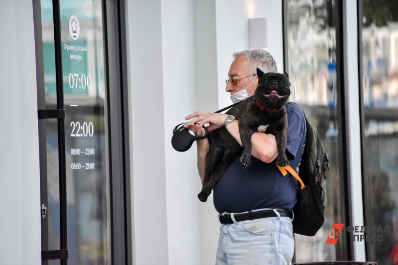 Мужчина с котом