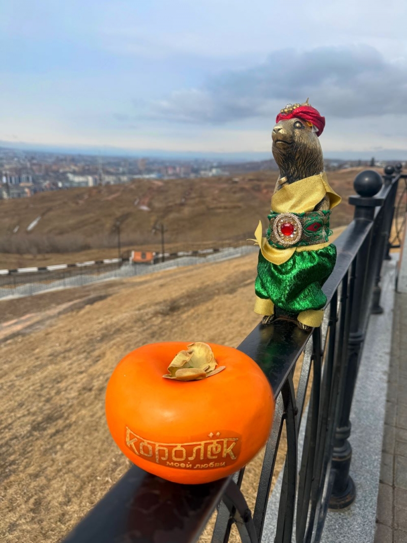 Суслики-молодожены тоже преобразились