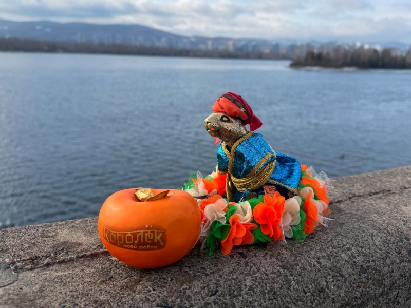 Суслики-молодожены тоже преобразились