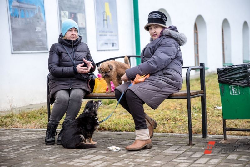 Более 65 тысяч одиноких стариков живет в Тюменской области