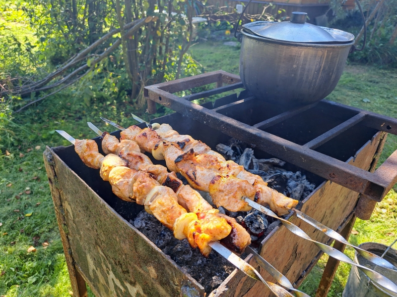 Жарить шашлыки все же разрешат, но с определенными ограничениями