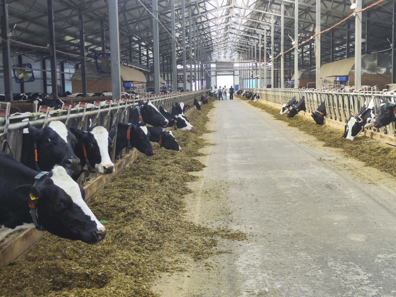 В АПК будет реализован комплекс инвестпроектов