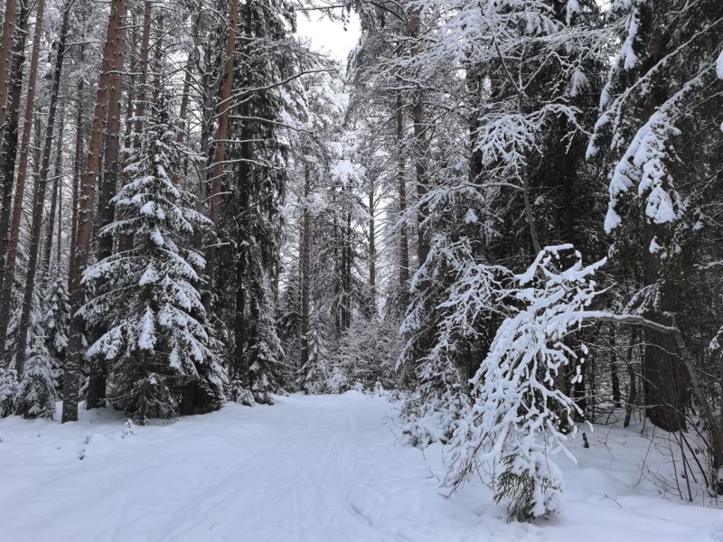 Суд разбирается в трагедии на охоте