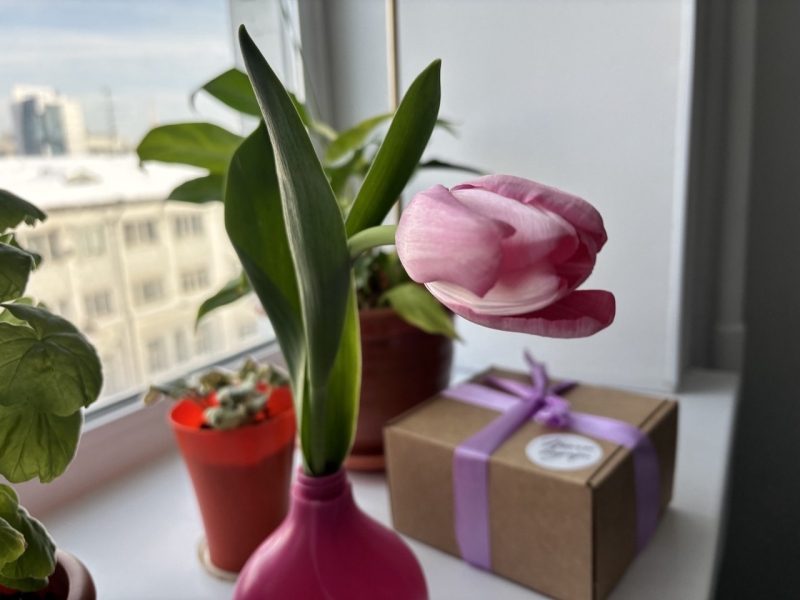 В Екатеринбурге цветы одни из самых доступных в стране