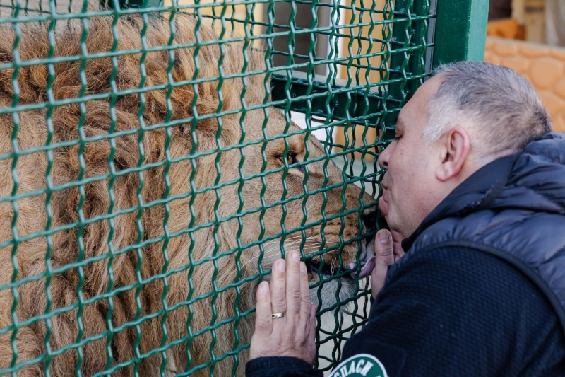 Карен Даллакян и лев