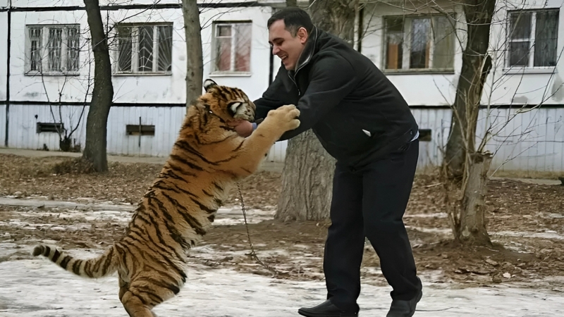 Животные полностью доверяют Даллакяну
