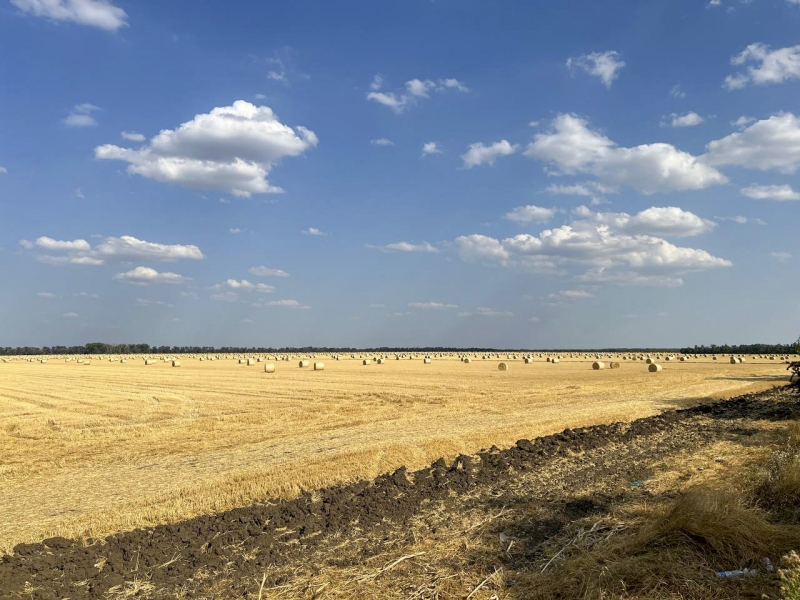 Сельское хозяйство