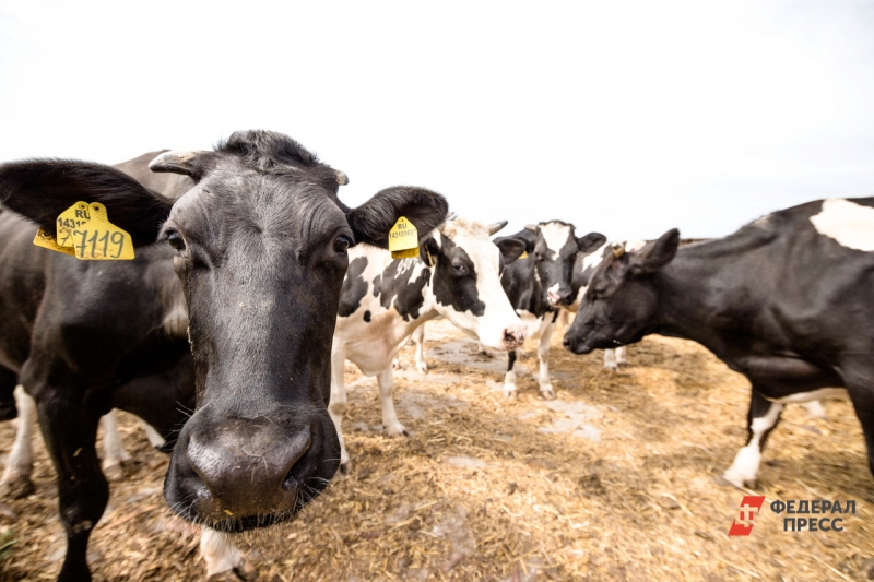 Сельское хозяйство