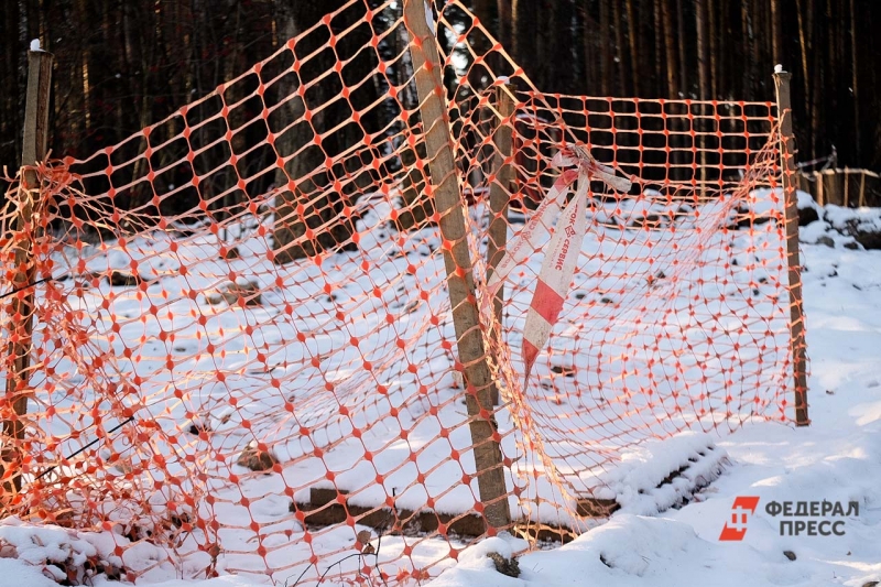 Стройка в лесу