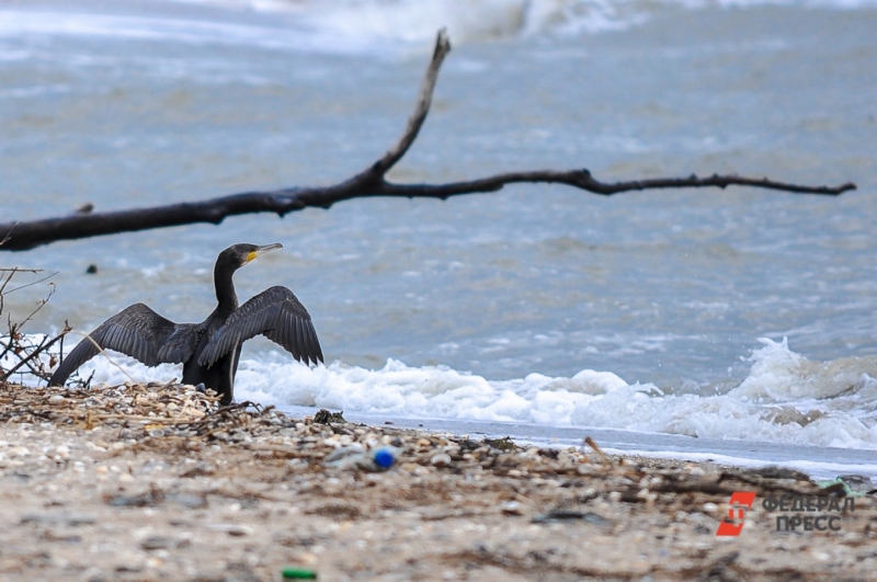 Азовское море
