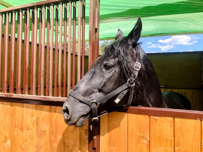 Что известно об иске к первому главе Ростовской области