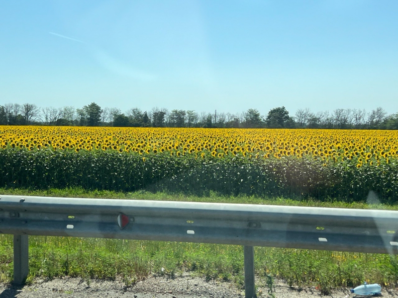 Глава района на Кубани пригрозил проверками из-за попыток построить полигон ТКО