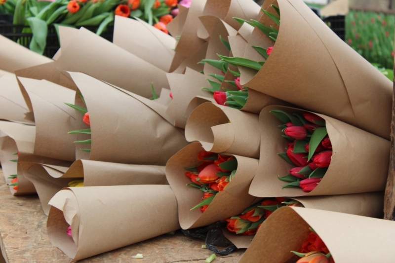 В партии цветов нашли прожорливые личинки опасного насекомого