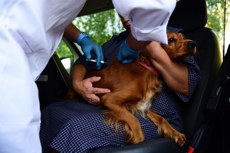 Вакцинация