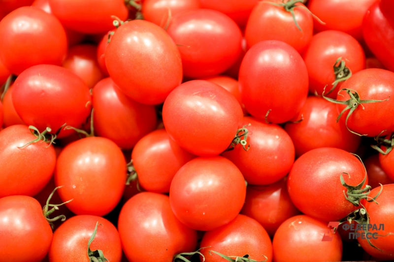 Томаты