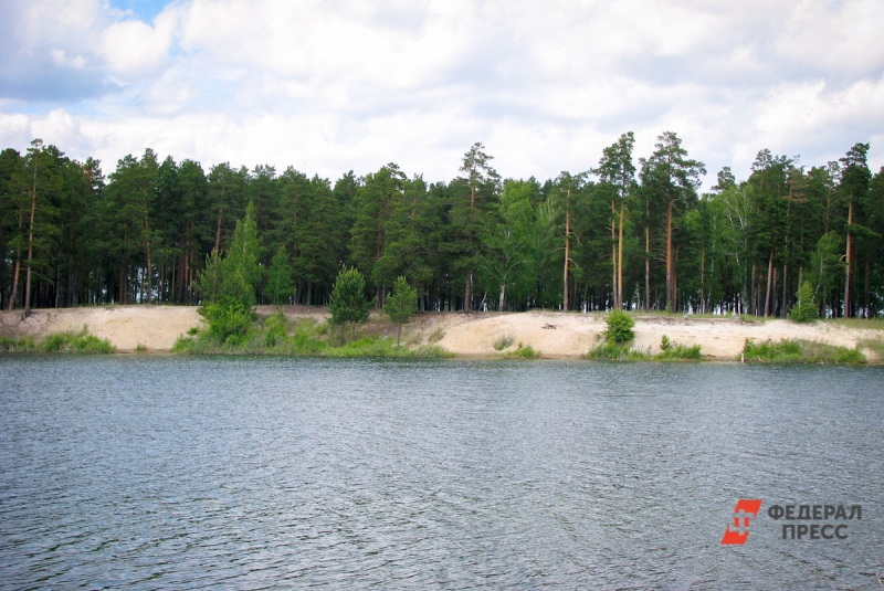 озеро, берег