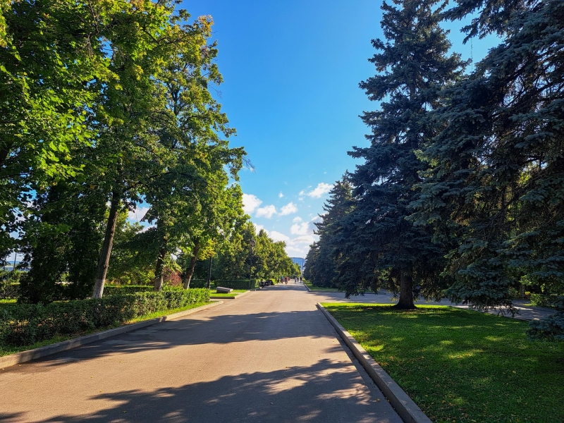 Солнечный день