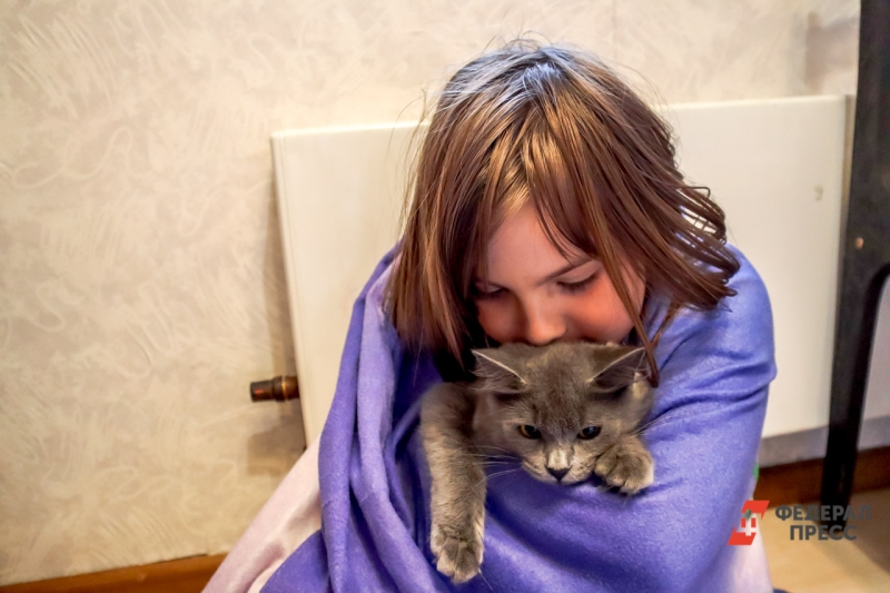 девочка с кошкой