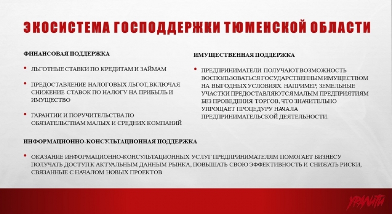 Эксперты АСИ отметили уникальную экосистему господдержки бизнеса