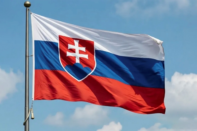 Флаг Словакии генерация