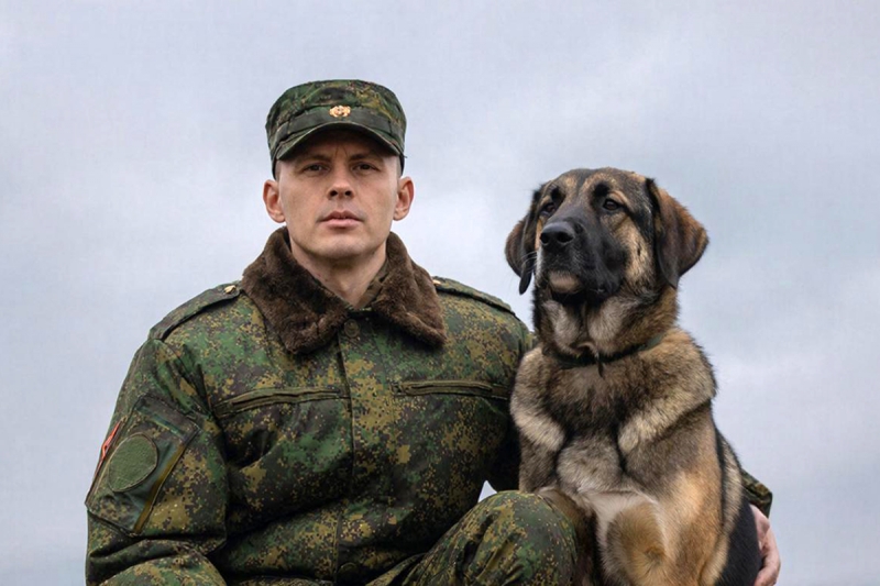 Пограничник