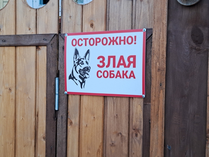 Собака