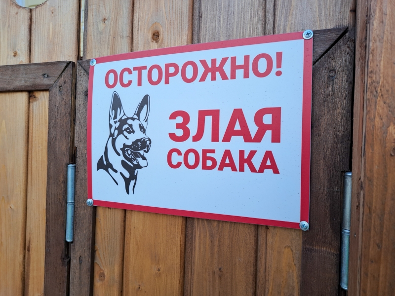 Собака