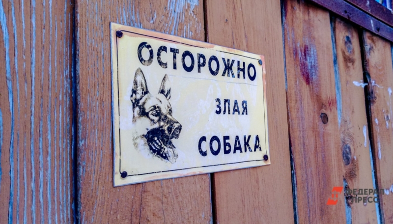 Собака