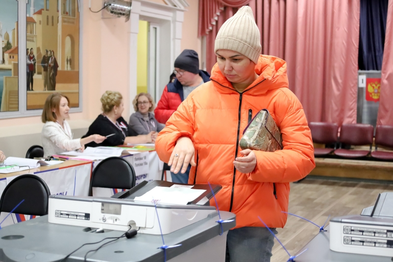 Выборы