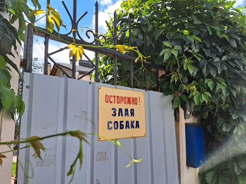 Собака