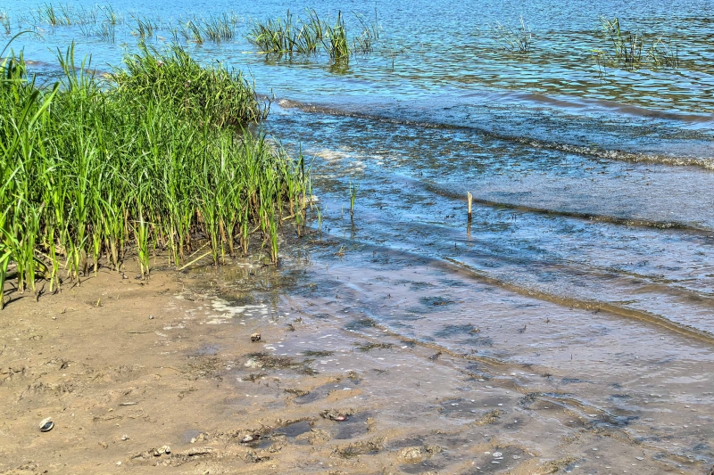 Водоем