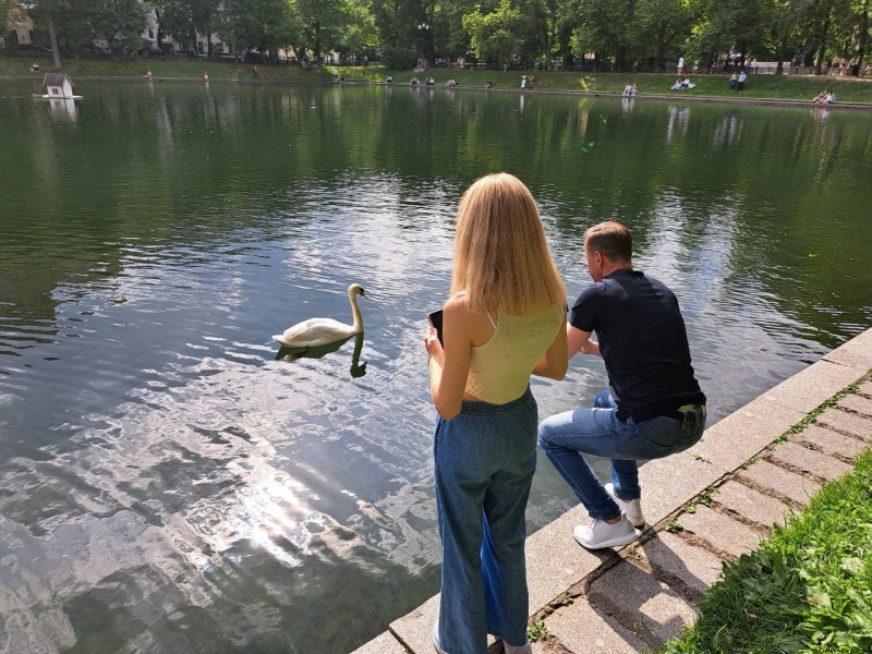 Лето