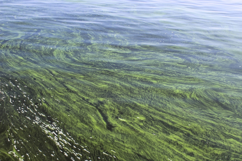 Водная гладь