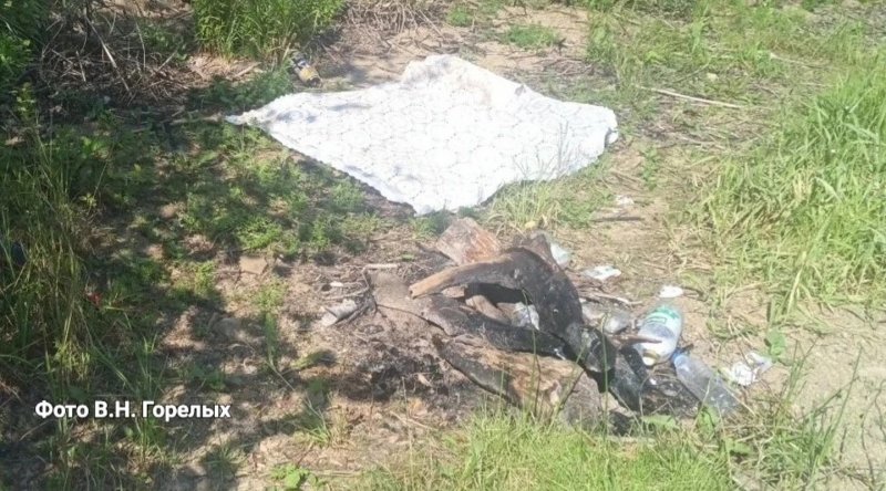 ЧП произошло вечером на берегу Бисертского пруда – в 100 км от Екатеринбурга