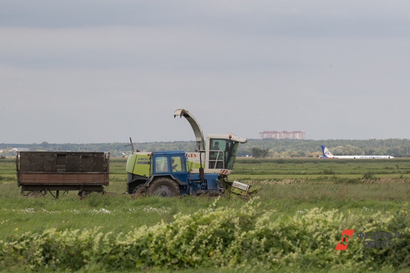 Аграрии жалуются, что техника вязнет на полях из-за подтоплений